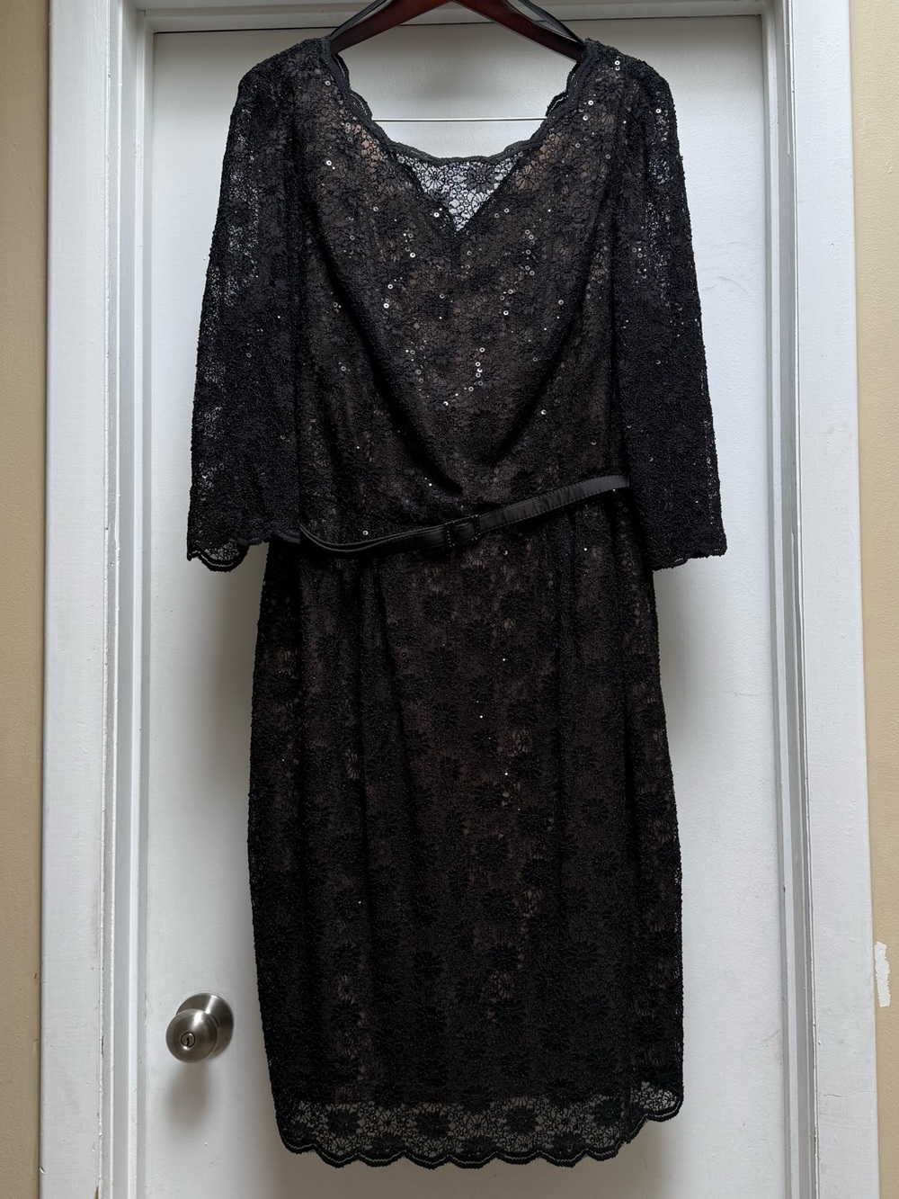 Alex Evenings Belted Lace Sheath Dress